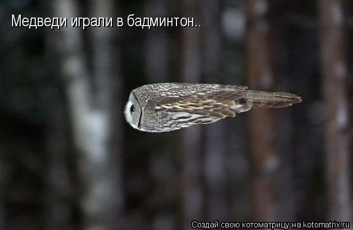 Котоматрица: Медведи играли в бадминтон..